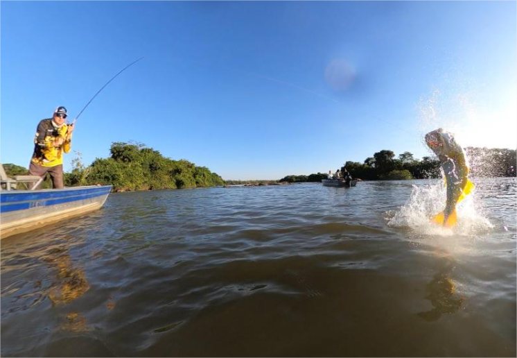 Confira as dez cidades de MT com os melhores destinos para pesca esportiva