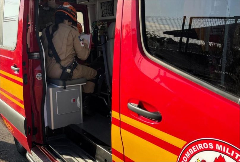 Doze pessoas são atacadas por enxame de abelhas às margens de Córrego