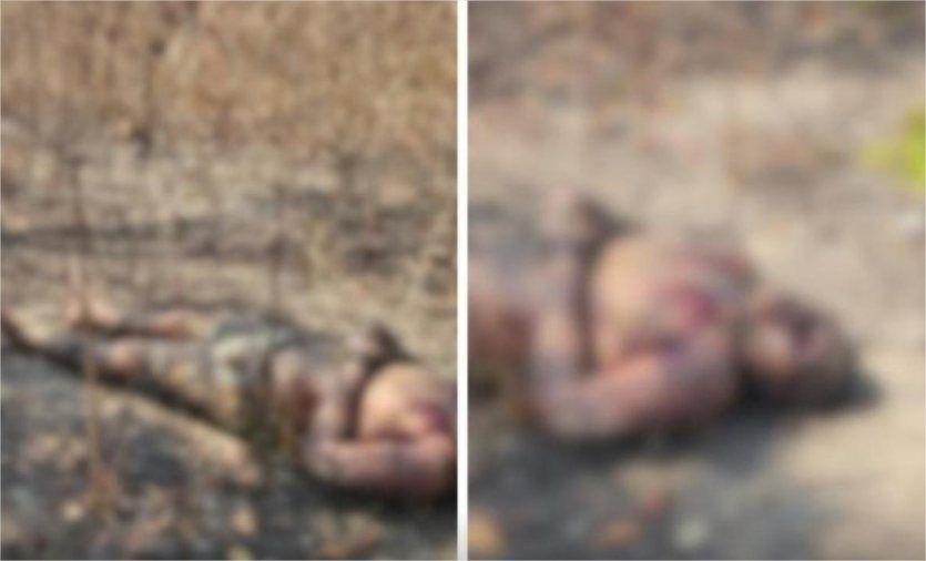 Corpo é encontrado com mãos amarradas no Contorno Leste