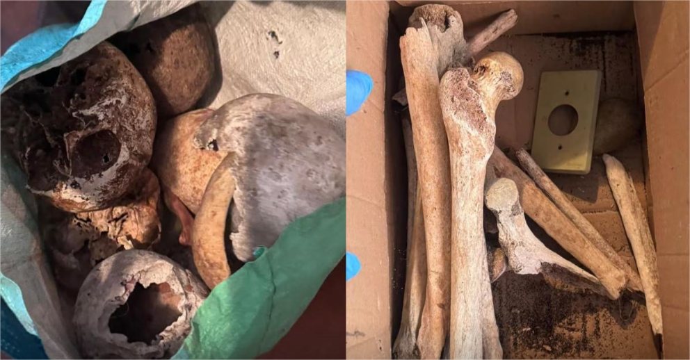 Macabro! Polícia encontra 12 crânios e ossos humanos dentro de apartamento de luxo