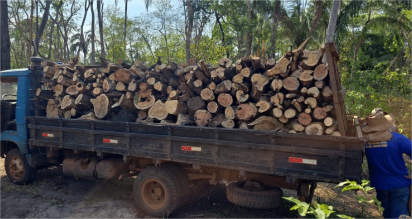 Polícia Federal faz operação contra invasão de terras e desmatamento em MT