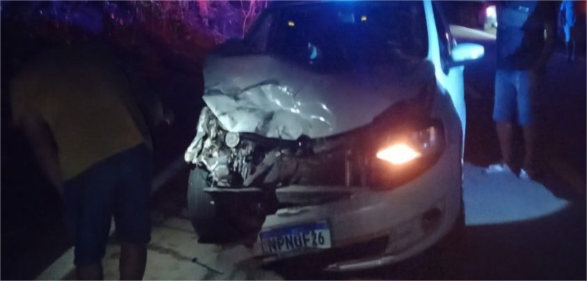 Motorista colide com anta em rodovia e veículo tem perda total