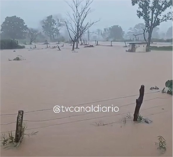 Enxurrada transforma ruas em rios em cidade de MT; vídeo