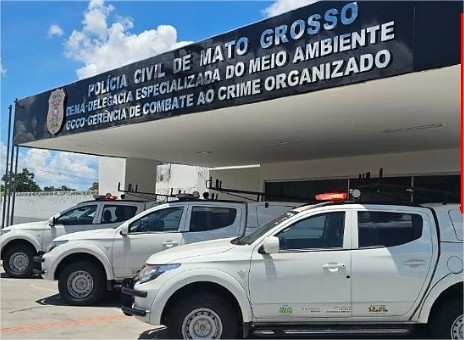 Polícia abre inquérito para investigar mortes de gatos no Alphaville 2 em Cuiabá