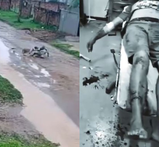 Idoso é brutalmente atacado por dois pit bulls em MT; veja vídeo (imagens fortes)
