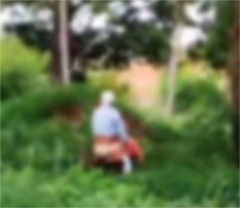 Casal de velhinhos é flagrado fazendo sexo em matagal em Várzea Grande