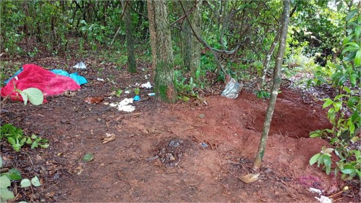 Cão farejador localiza corpo enterrado em cova rasa