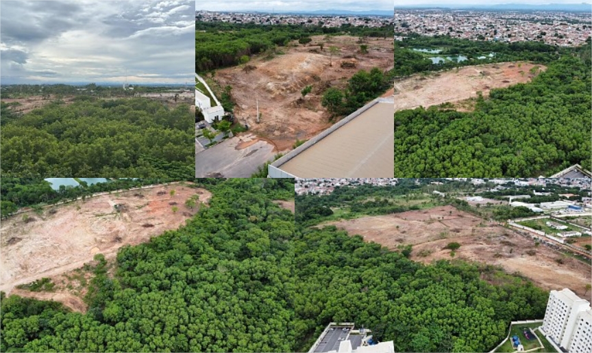 Moradores denunciam desmatamento no Carumbé