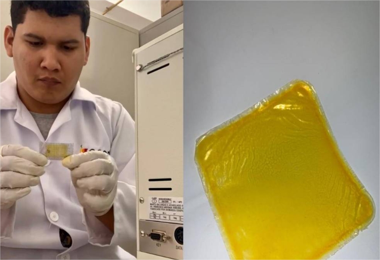 Pesquisadores da UFMT estudam o desenvolvimento de embalagem biodegradável de óleo de pequi