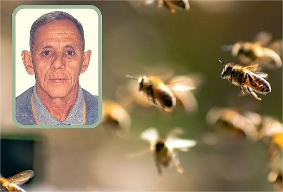 Mais um trabalhador rural morre após ataque de abelhas em fazenda