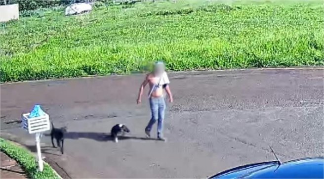 Homem arrasta cachorro pelo pescoço com arame farpado e acaba preso; veja vídeo