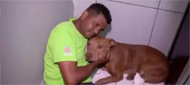 Cachorro enterrado vivo é resgatado, recebe tratamento e já tem novo lar em Cuiabá