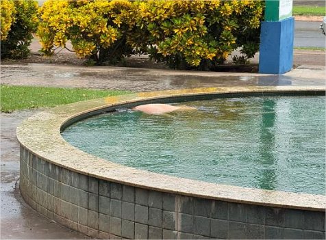 Homem é encontrado morto dentro de chafariz em cidade de Mato Grosso; veja o vídeo