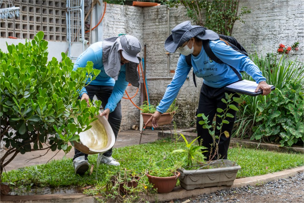 Cuiabá registra mais de 300 casos de dengue em 2026; quase 200 mil imóveis foram vistoriados este ano