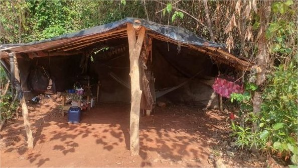 Mais de 600 trabalhadores em situação análoga a escravidão são resgatados em MT