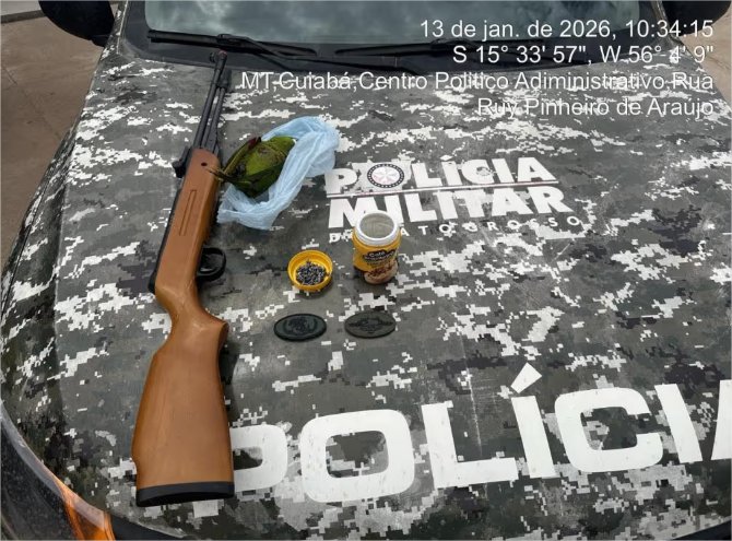 Morador é preso em flagrante por matar arara com espingarda de pressão em MT