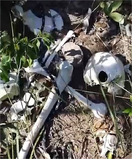 Homens acham ossada durante colheita de pequi em Chapada dos Guimarães; veja vídeo