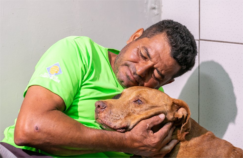 Cão resgatado após ser enterrado vivo dá sinais de recuperação