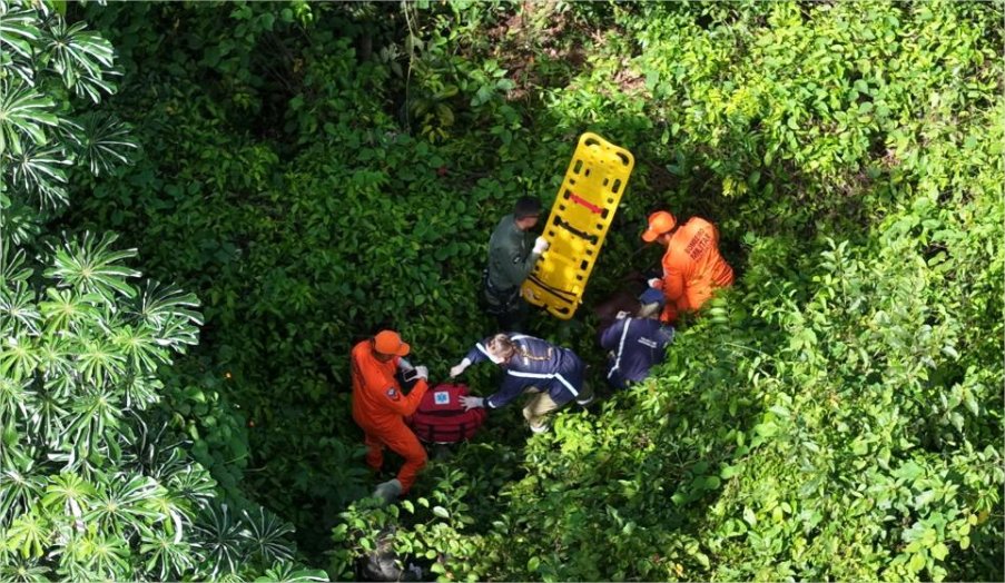 Buscas de helicóptero levam à localização de idoso desaparecido na floresta, em MT