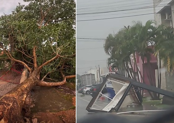 Temporal com granizo e ventos fortes causa destruição no interior de MT; veja vídeo