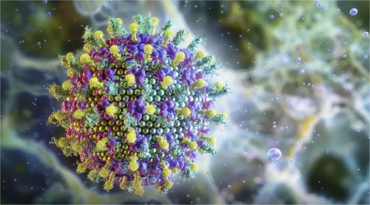 Ministério da Saúde diz que vírus Nipah não ameaça o Brasil