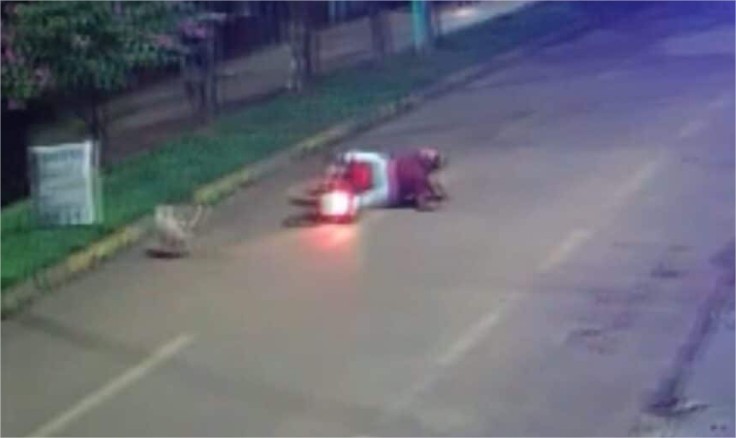 Vídeo: Motociclista é socorrido com fratura na perna ao atropelar cachorro em avenida