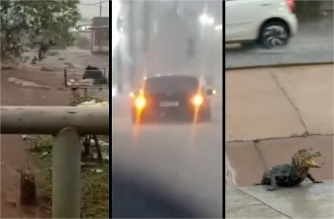 Vídeo: Jacaré na avenida, Upa alagada e moradores ilhados; temporal causa caos em Cuiabá