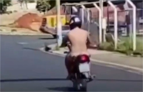 Vídeo mostra amante nu escapando de marido após flagrante de traição
