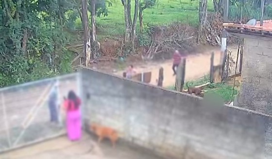 Bebê de 11 meses morre após ataque de pitbull em quintal de residência