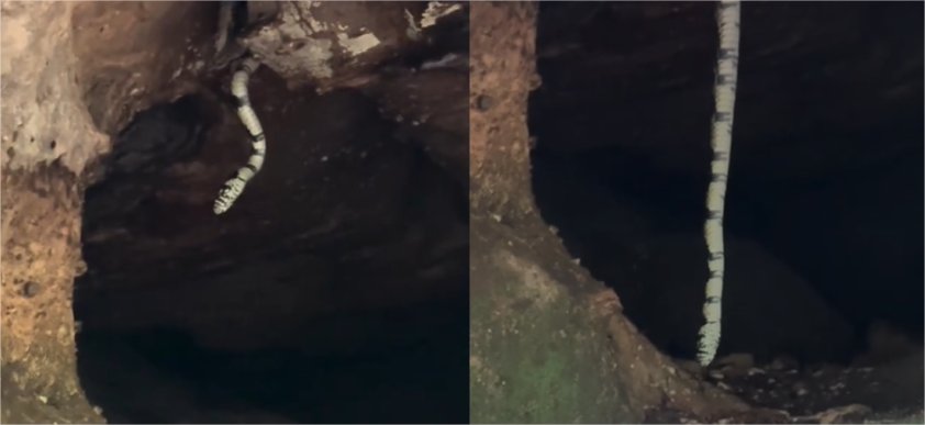 Vídeo feito por guia de turismo em MT ultrapassa 6 milhões de visualizações