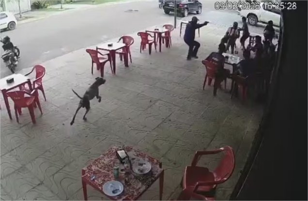 Jovem é morto a tiros em lanchonete na frente de colegas em MT