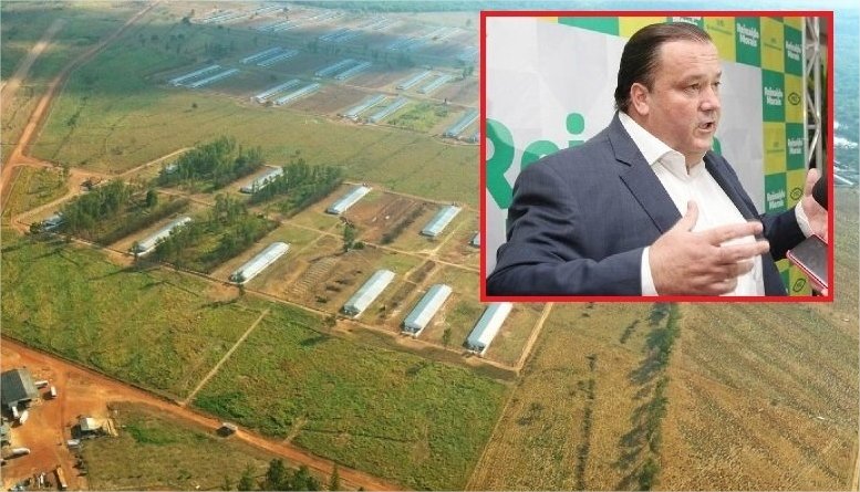 Juíza penhora rebanho do ‘Rei do Porco’ para quitar dívida milionária com empresa de nutrição