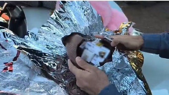 Mulher é flagrada com canetas de emagrecimento escondidas dentro de ovos de chocolate em ônibus