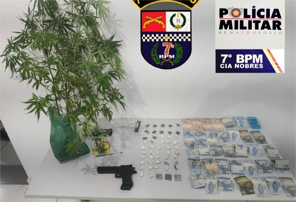 Homem é preso pela PM com pés de maconha e porções de drogas em residência