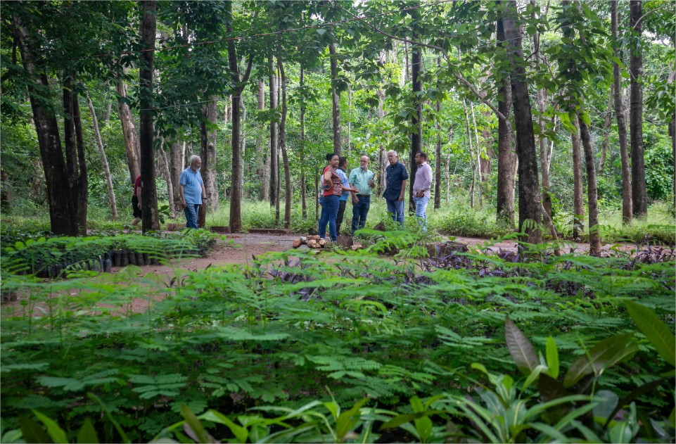 Cuiabá aposta em novo modelo urbano com mais árvores para reduzir calor