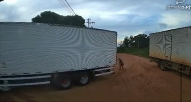 Vídeo mostra momento em que idosa de 104 anos é atropelada em Várzea Grande