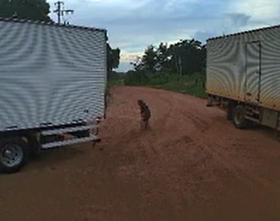 Idosa de 104 anos morre atropelada por caminhão em frente de casa