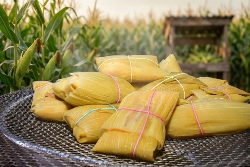 7º Festival da Pamonha deve atrair mais de 30 mil visitantes em Cuiabá