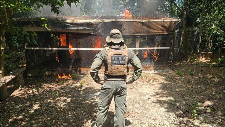 Polícia prende quatro pessoas e derruba construções irregulares em área de preservação em MT
