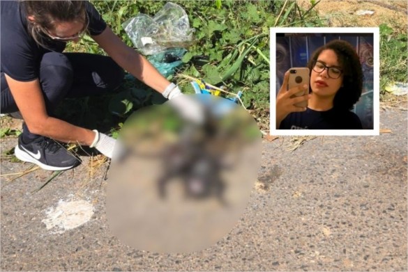 Processada por maus-tratos contra gatos, mulher descumpre ordens da Justiça e TJ manda reinstalar tornozeleira